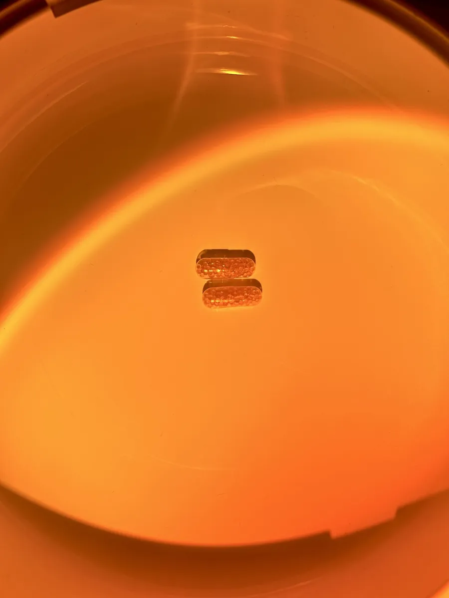 Two Skin capsules in an amber glass dish